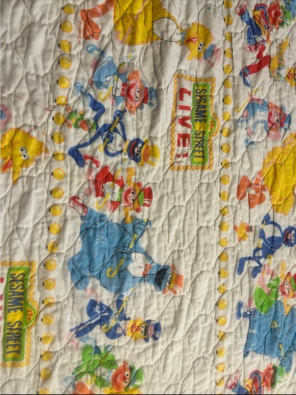 Vintage Sesame Street Jc Penny Pinch Pleat Twin